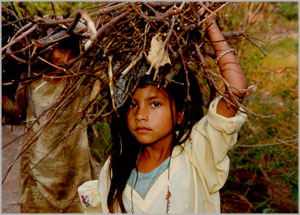 Support Us By Joining our hands